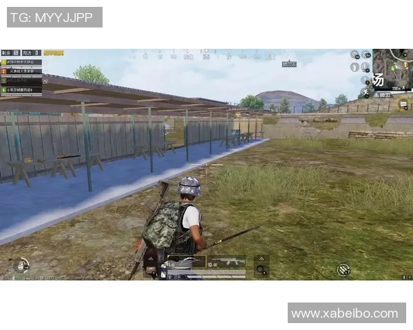 王娜分享和平精英职业生涯的成长与挑战之路