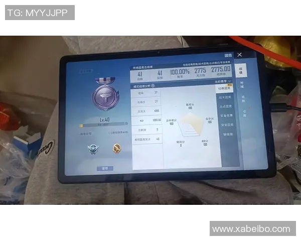 电竞新闻和平精英焦点BLG团队耐力分析与竞技表现探讨 电竞新闻和平精英焦点BLG团队耐力分析与竞技表现探讨